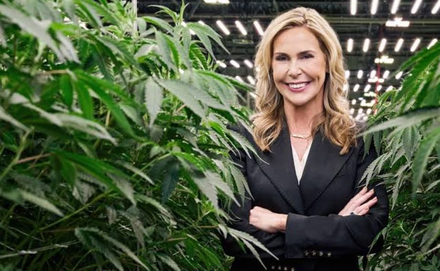 Kim Rivers Net Worth: The Cannabis Industry's Most Powerful CEO You've Probably Never Heard Of