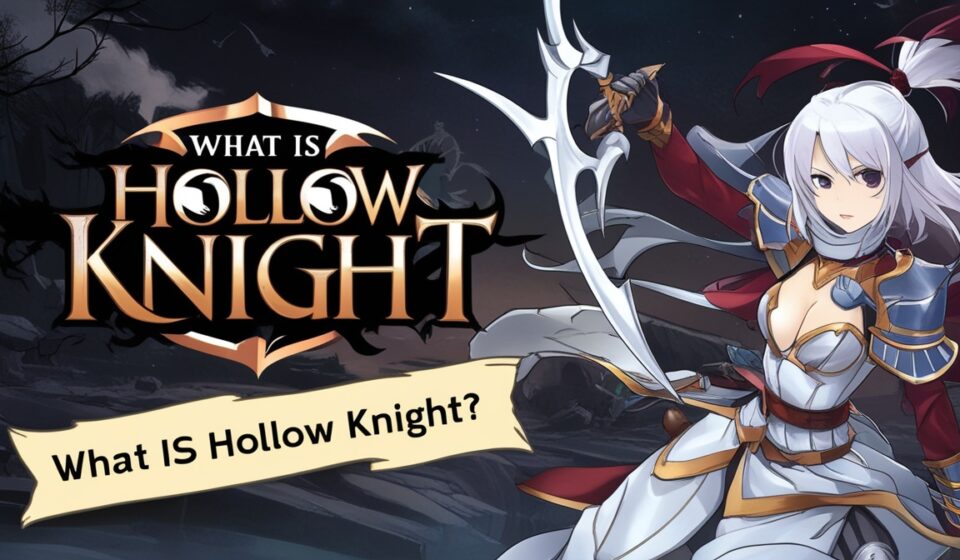 What Is Hollow Knight About? The Full Story, Lore, and Why It Matters