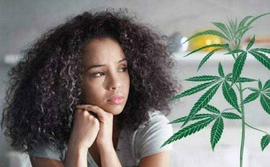 Sativa and Anxiety: The Truth Nobody Wants to Admit Out Loud