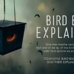 Bird Box Explained: The Monster You Never See, the Ending You're Still Thinking About, and Why It All Actually Means Something