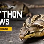 Python News: Massive Performance Upgrades & Record Popularity Hit the Ecosystem